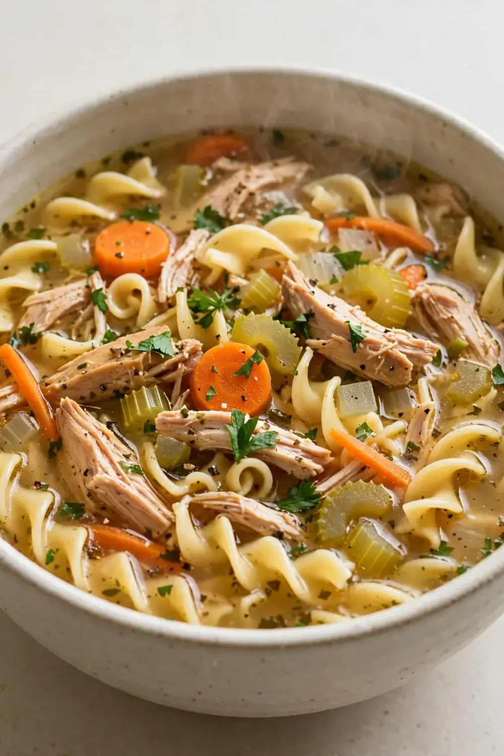 Instant Pot Chicken Noodle Soup